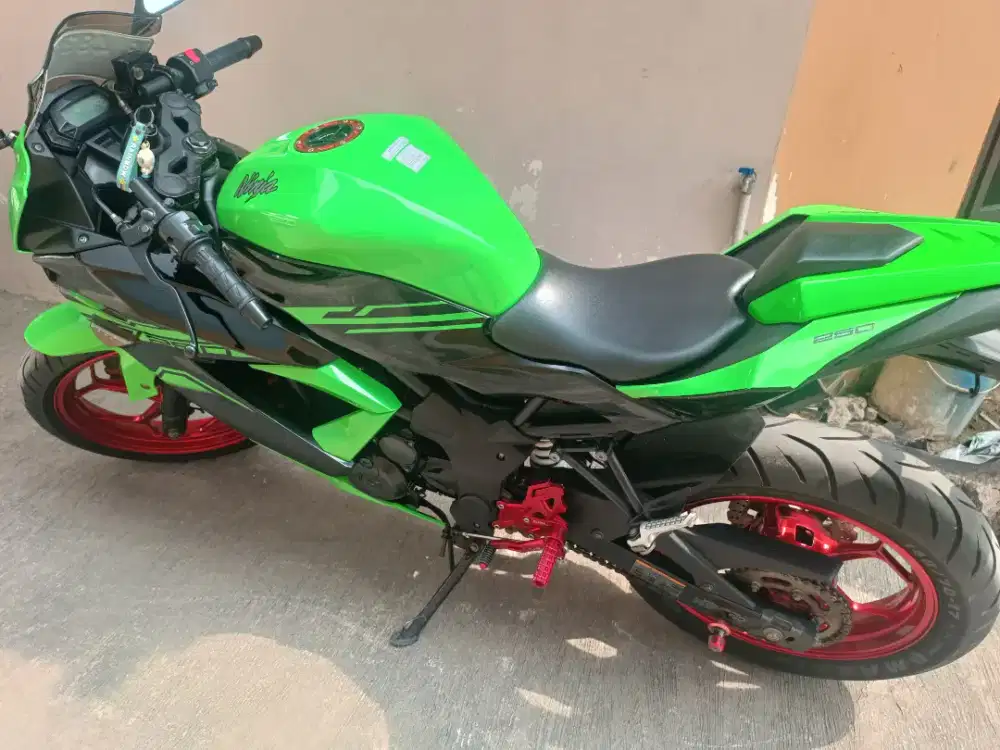 Kawasaki Ninja 250 Mono SE 2017