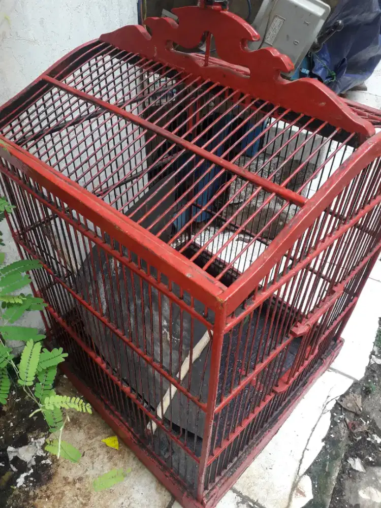 Kandang burung second masih bagus ukuran no.2
