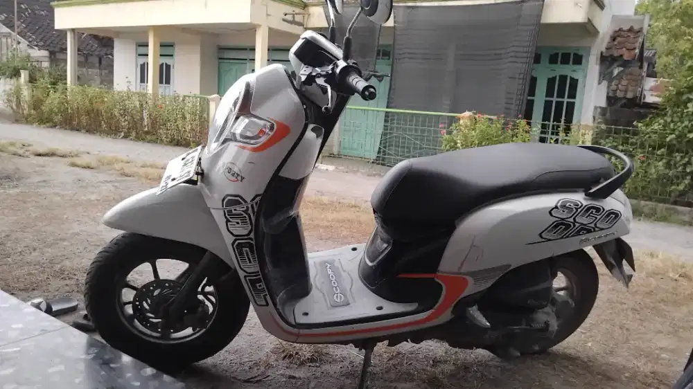 Scoopy sport 2017