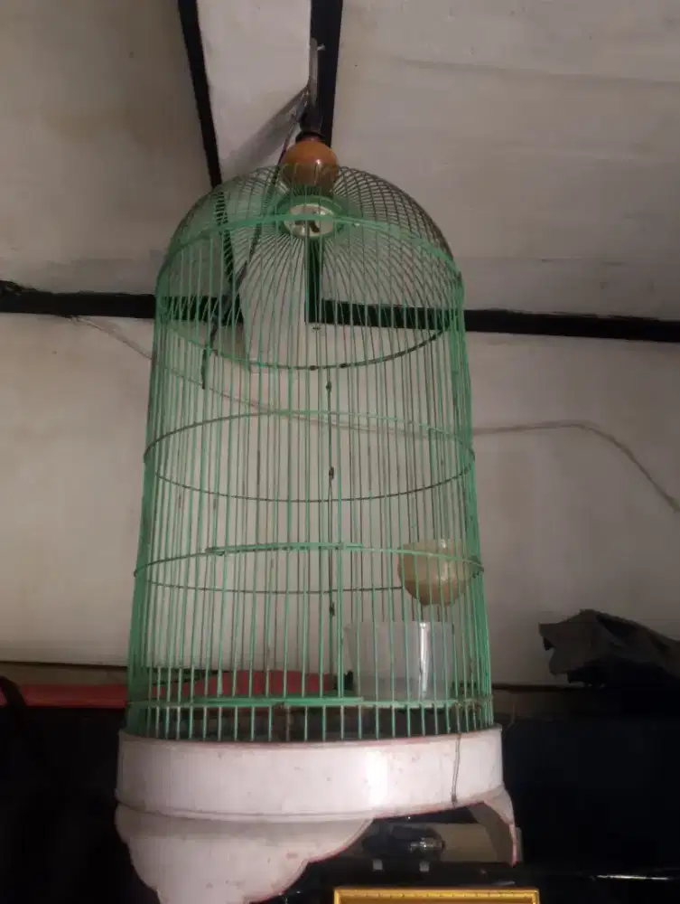 Kandang burung Lovebird bekas masih bangus lok x Abang bungur h.i