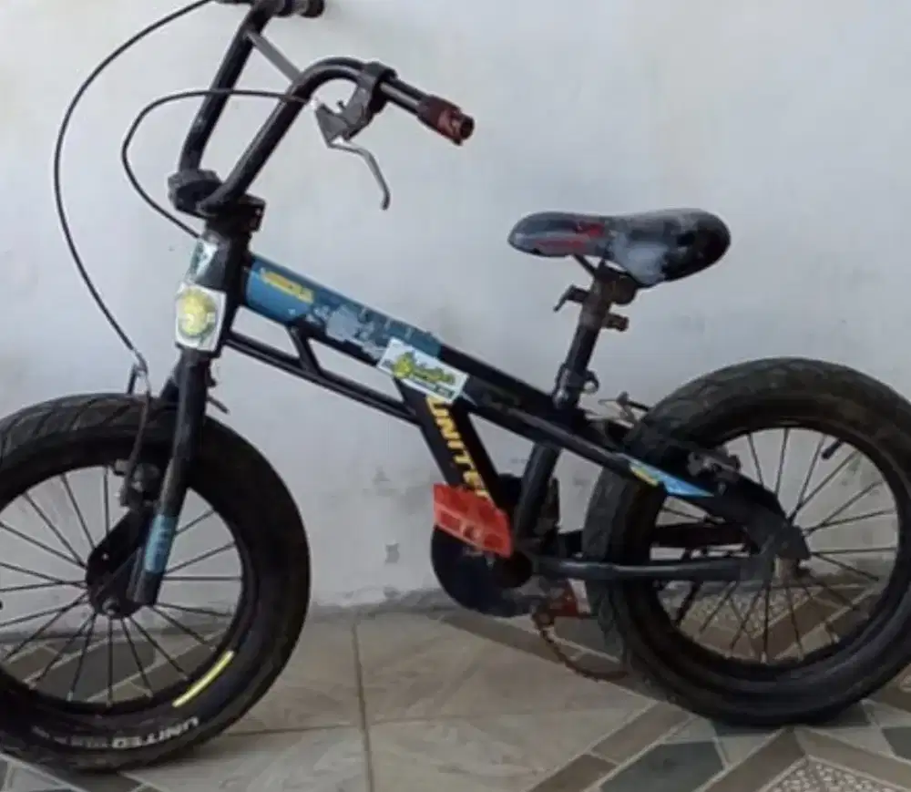 Jual sepeda anak