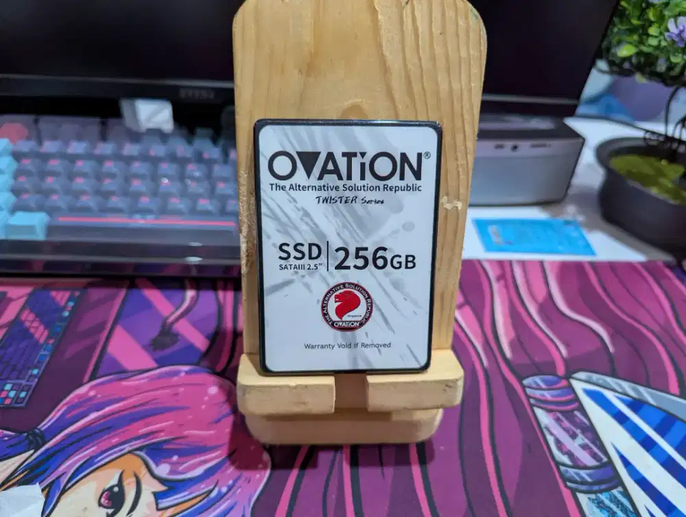 SSD Sata III 3 Ovation 256GB 240GB Health Sentinel 100% (No Box) Murah