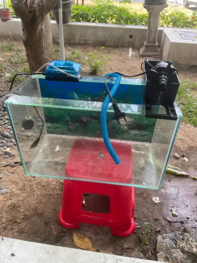 AQUARIUM (filter + aerator)
