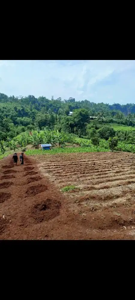 Jual tanah pinggir sungai cimeta