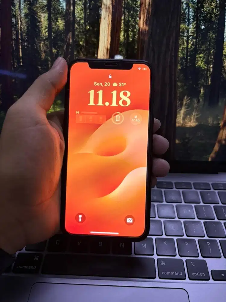iPhone XS 64GB (Inter)