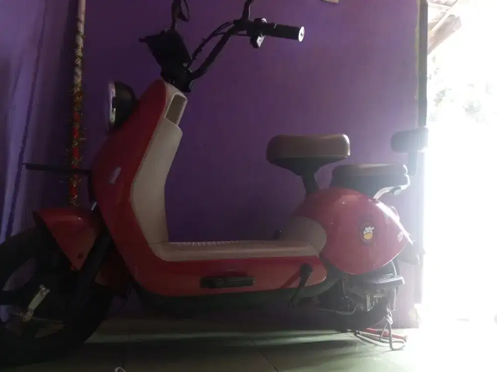 Sepeda listrik uwinfly