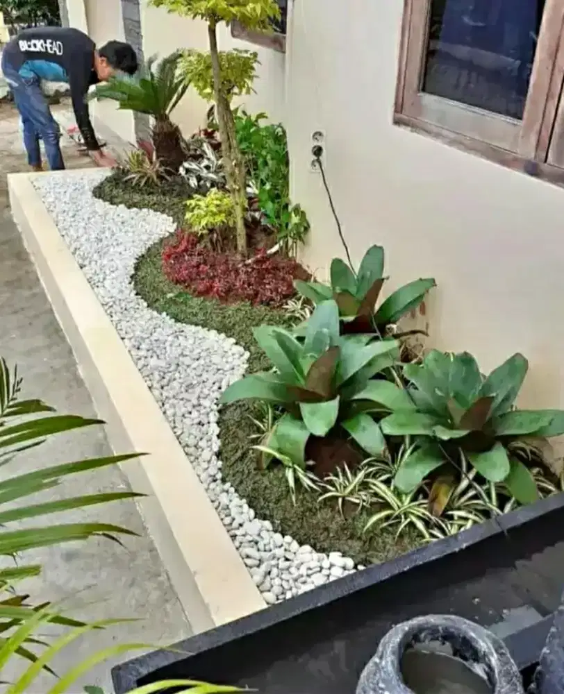 Spesialis pembuat Taman dan kolam koi