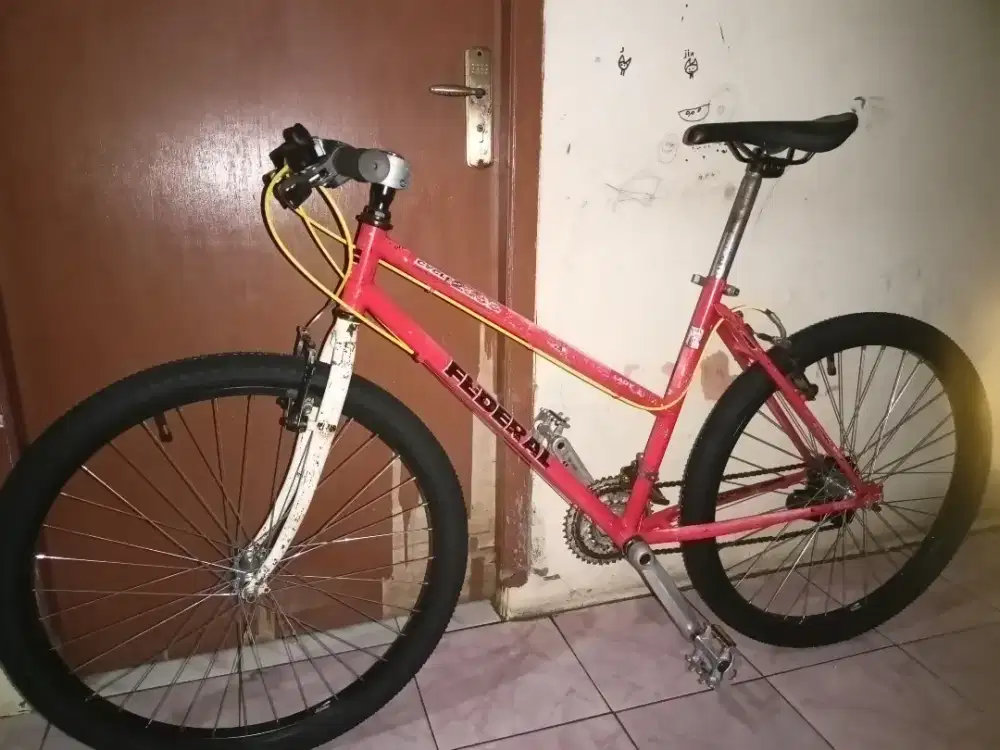 Sepeda federal lady 26