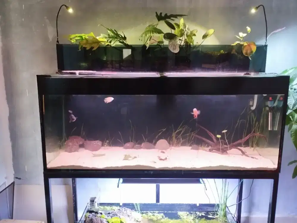 Aquarium 150x60x60