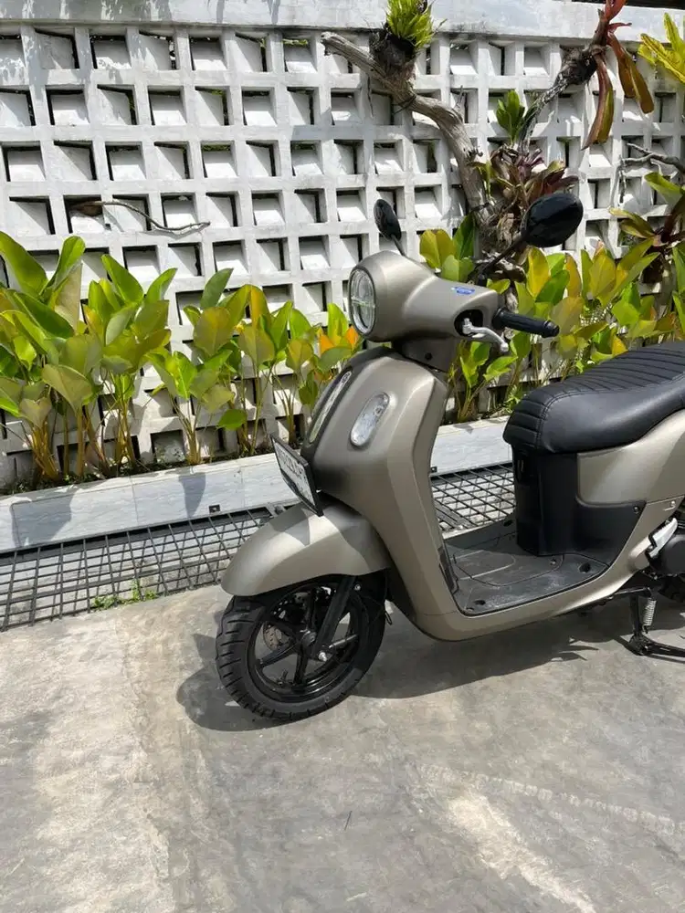 Fazzio hybrid lux Titanium 2025