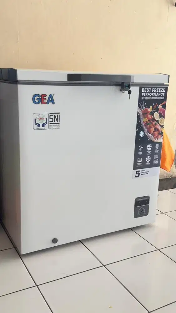 Freezer GEA AB208R