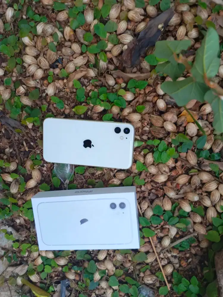 Iphone 11 128gb mindset apple
