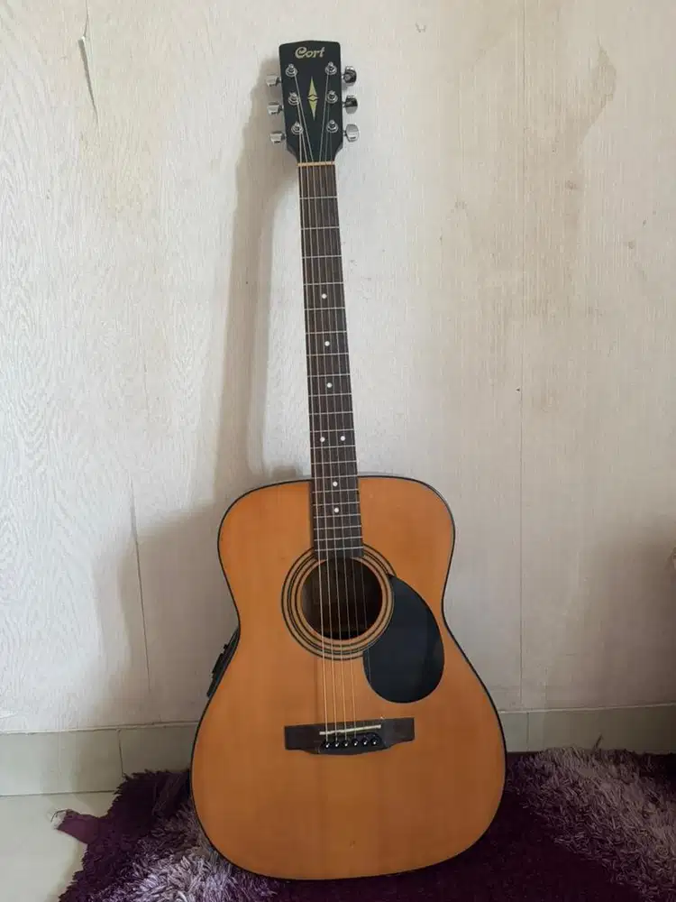 Gitar Cort af510e upgrade preamp fishman