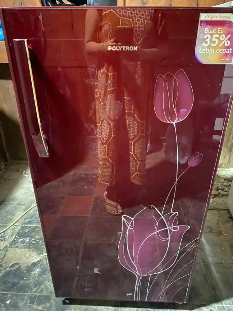 Kulkas polytrob temperglas