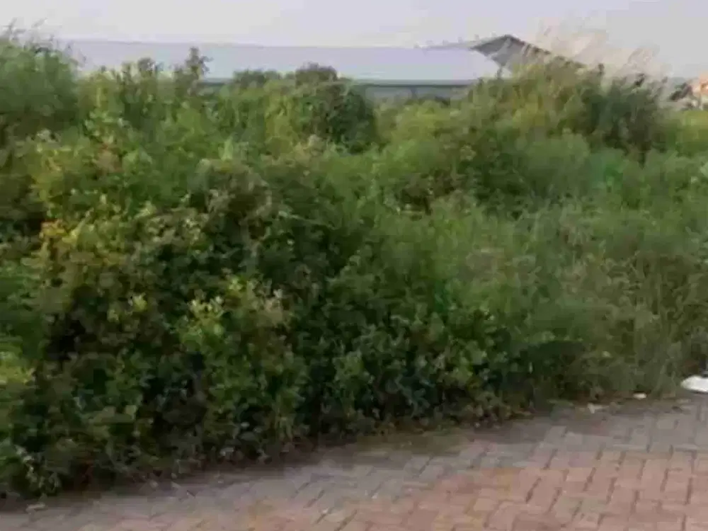 4jt-an/mtr‼️Tanah di pergudangan bumi maspion Romokalisari gresik Row Jalan Lebar Puooll