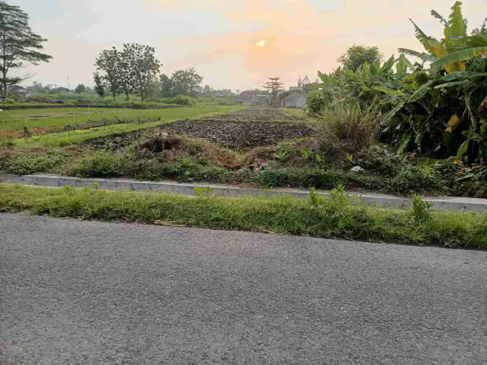 Jual Tanah murah di wiyoro Banguntapan sblm sita bank