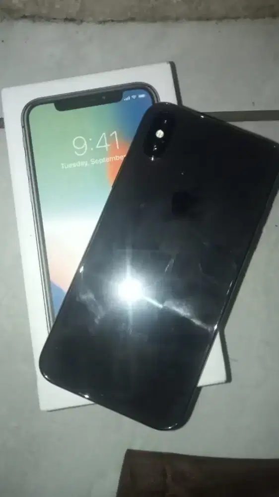 Jual Bu iPhone X 266