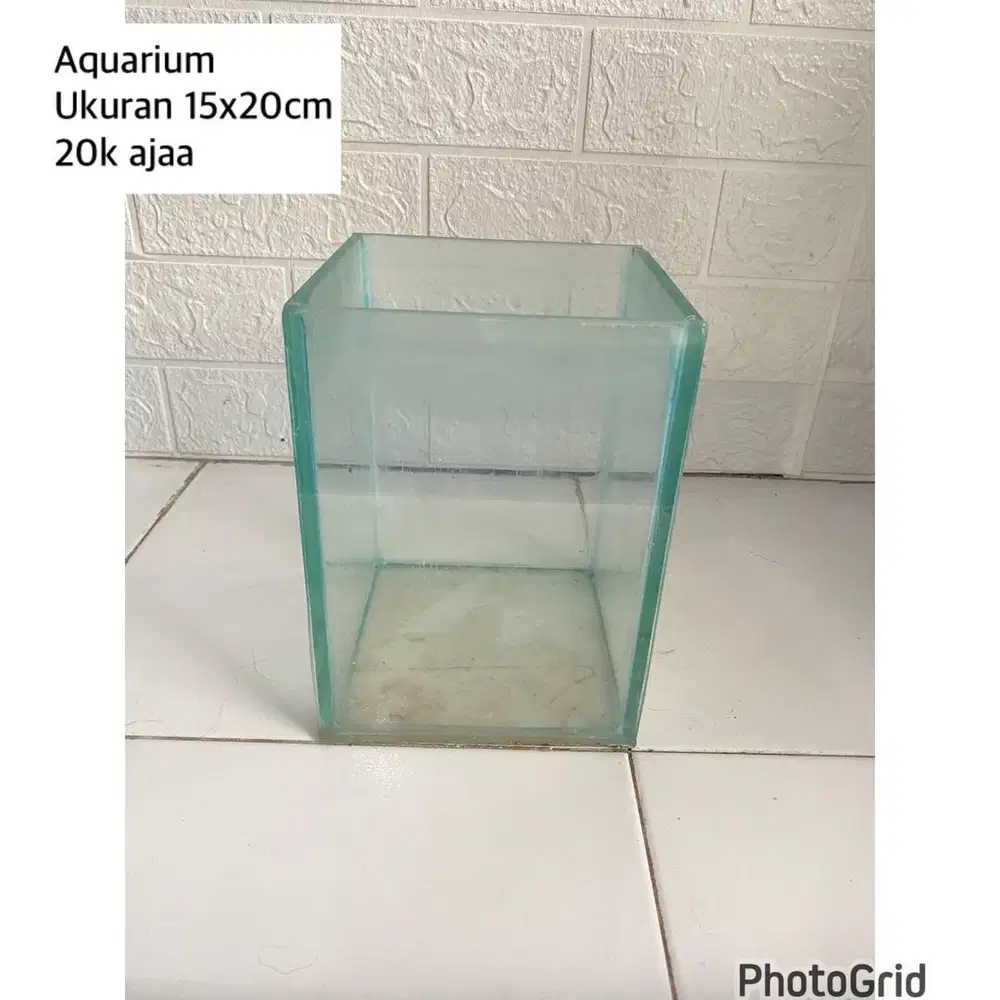 Aquarium 2 tipe