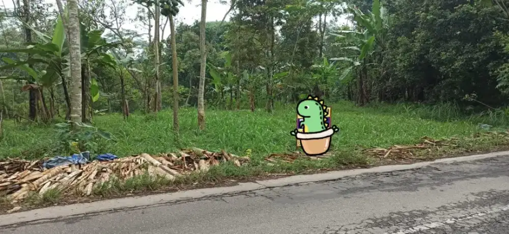 Dijual Tanah Tanpa Perantara Murah, Pinggir Jalan