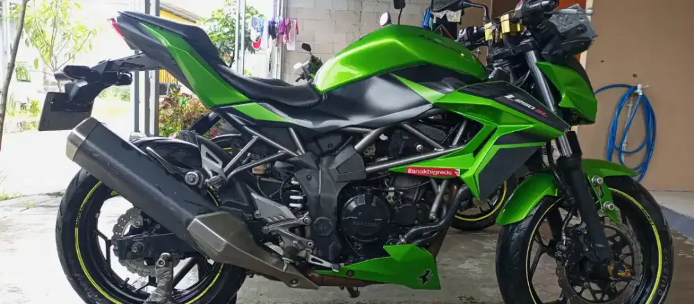 KAWASAKI Z250SL 2015-NAKED SPORT