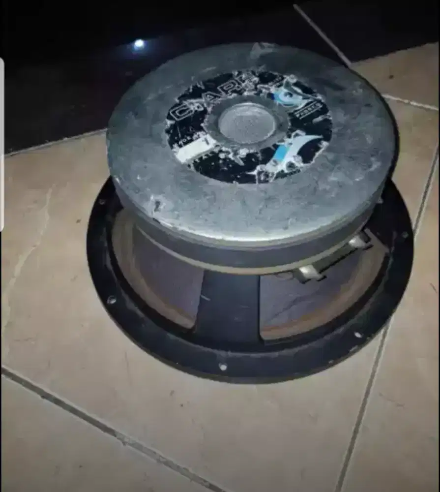 Satu unit speaker 10 inch Ciare FXC10 made in Italy