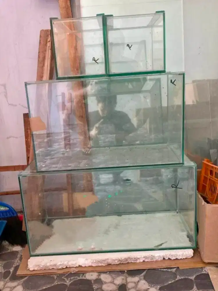 Aquarium Besar & Sedang