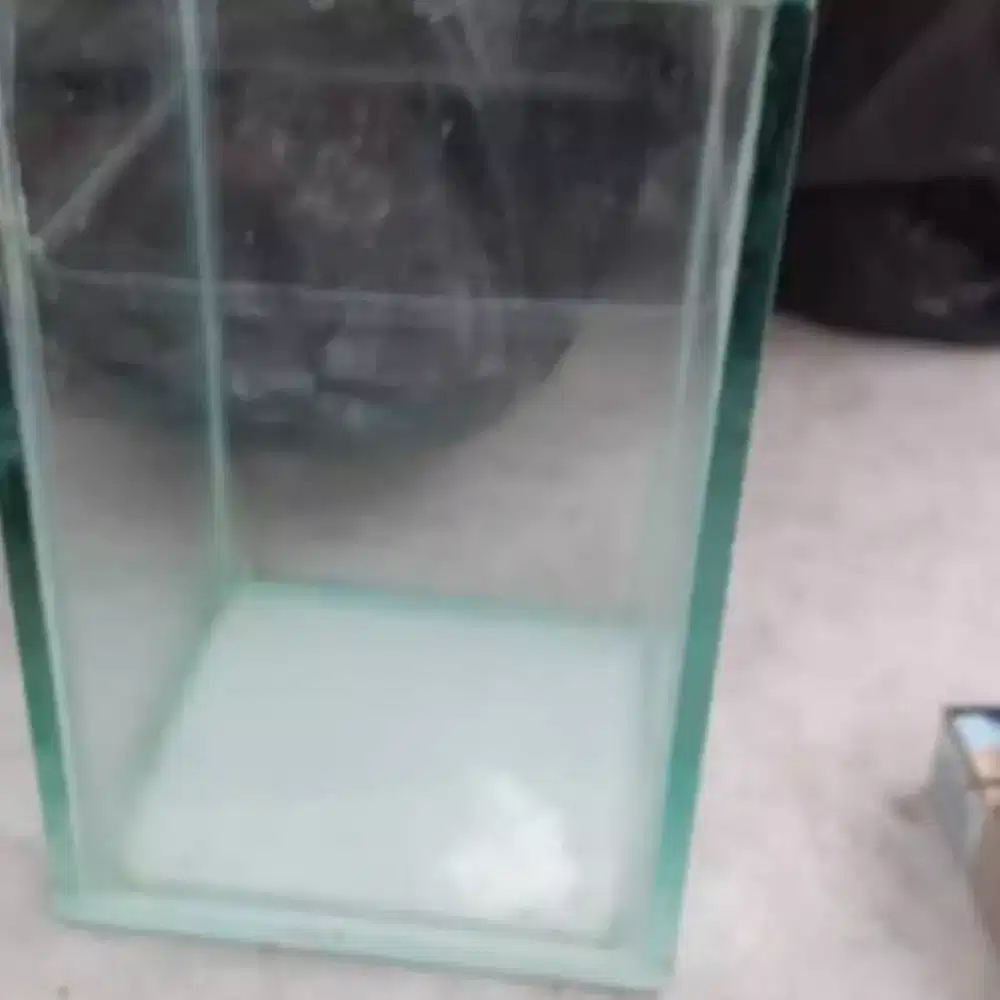 Aquarium kotak borong semua