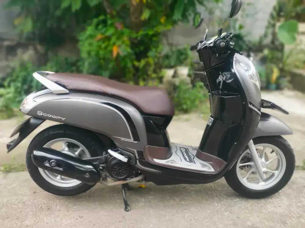 Scoopy donat 2018 Pajak Hidup