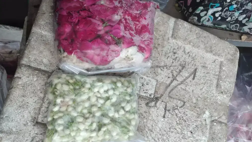 Menjual bunga melati