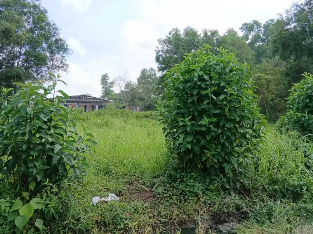 DIJUAL TANAH JALAN PAGAR DEWA KARYA BARU ALANG ALANG LEBAR PALEMBANG