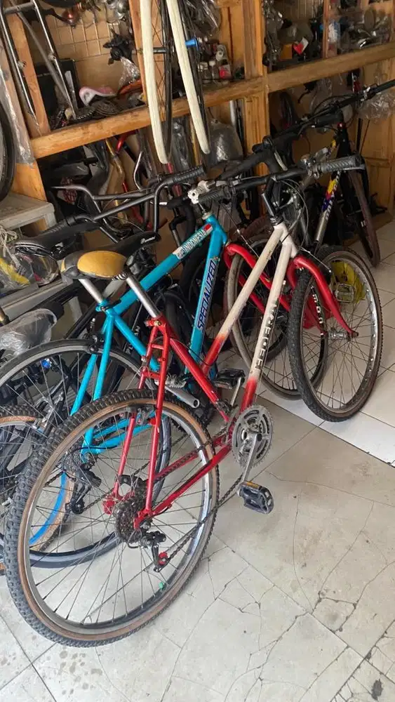 MTB FEDERAL LADY STRAYCATSS