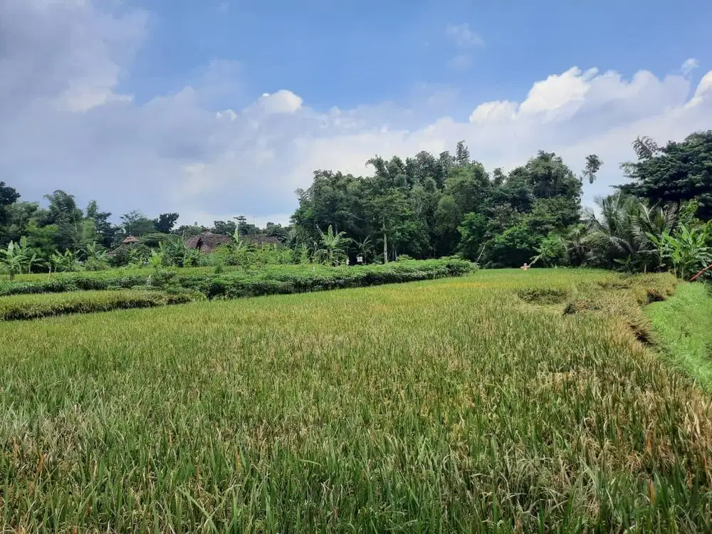 DIJUAL TANAH MILIK PRIBADI