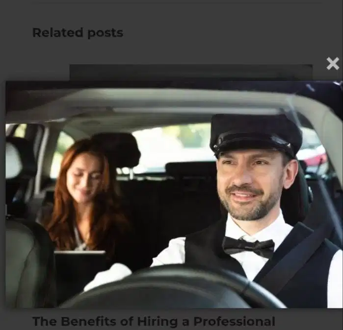 Driver Profesional