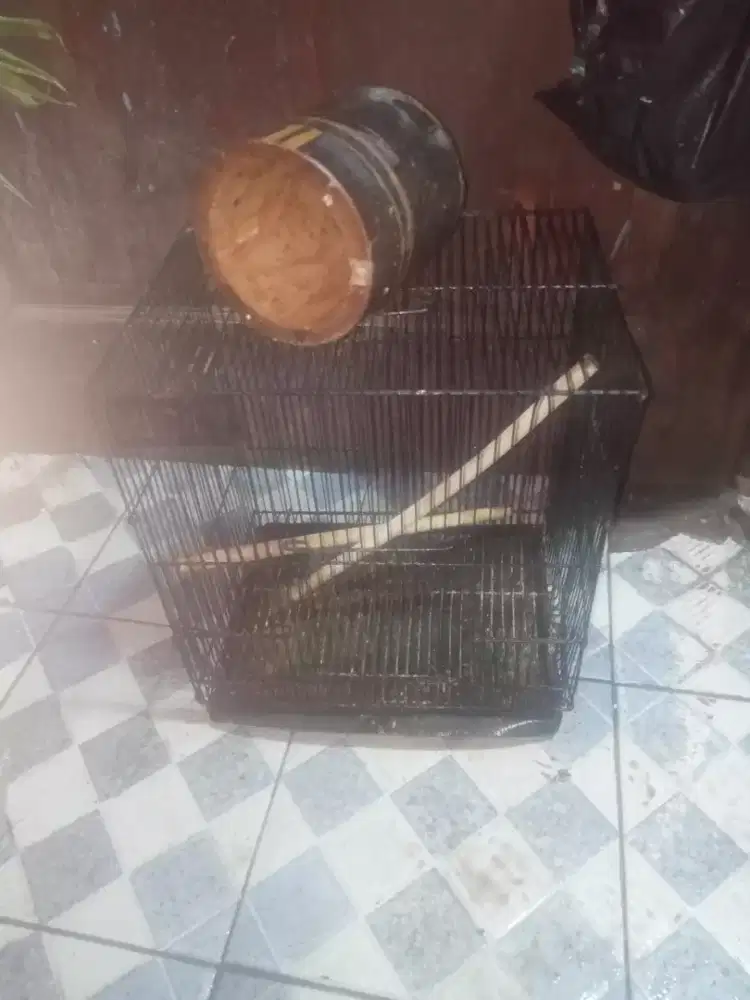 Gan saya mau jual Kandang burung udah ada rumah burung