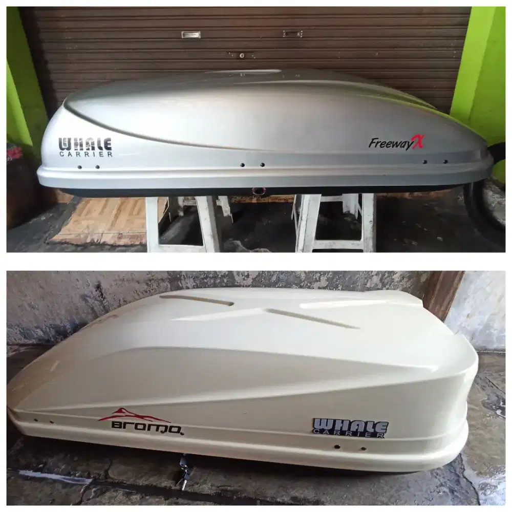 Roofbox whale Bromo / freeway x