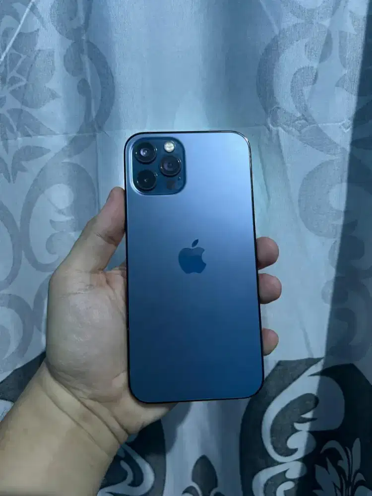Iphone 12 pro 256gb beacukai
