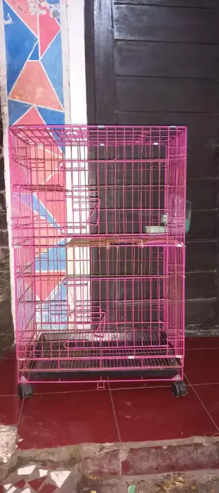 Kandang kucing / tupai