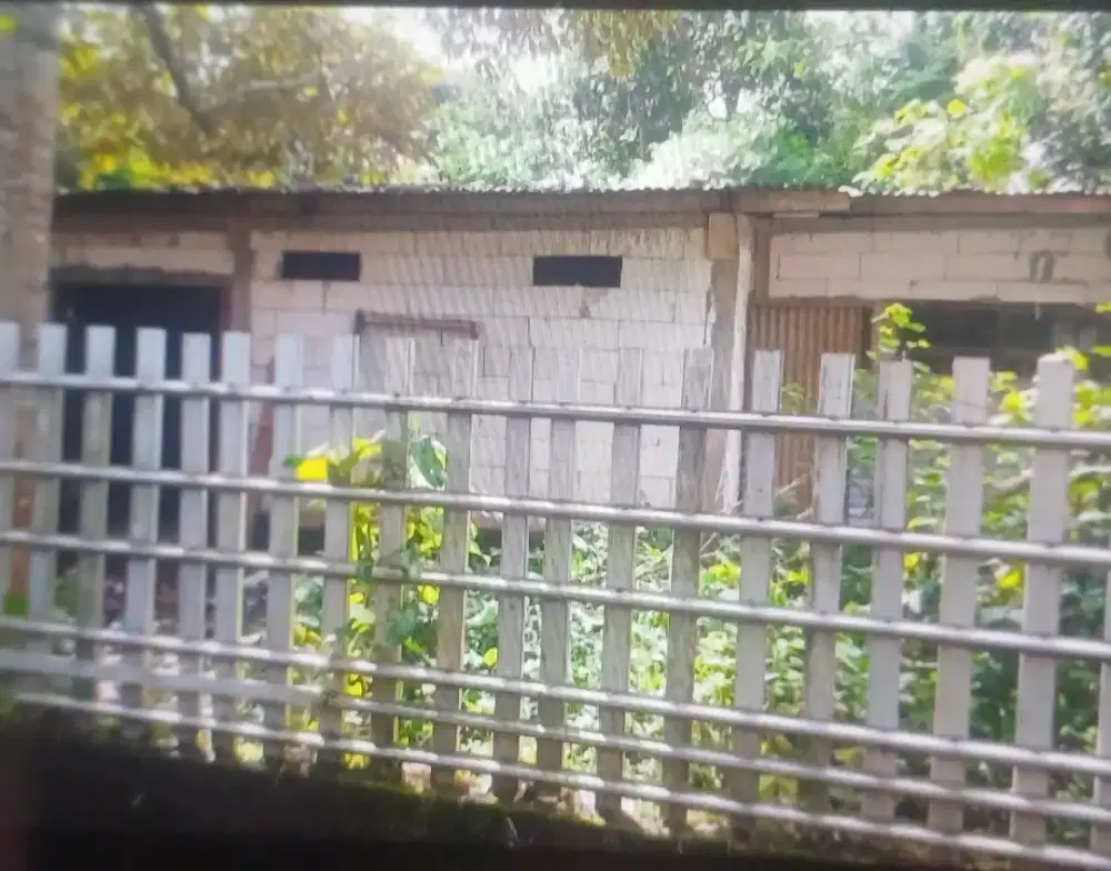 Rumah dan bagunan