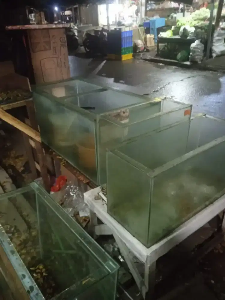 Akuarium second masih ok