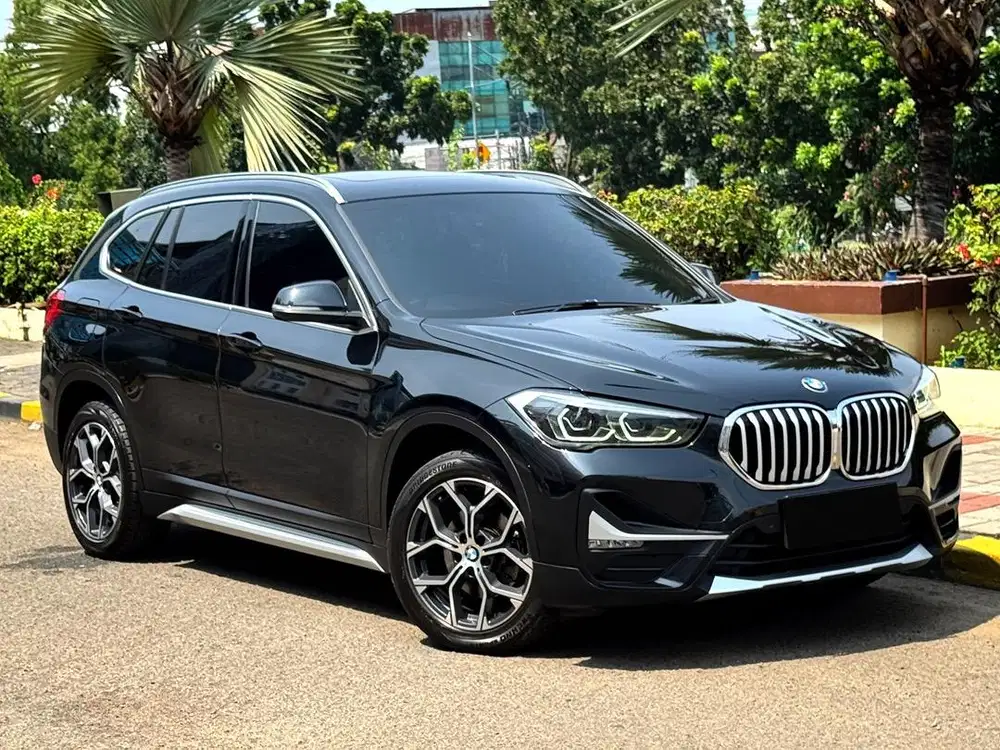 BMW X1 sDrive18i xLine 2019 F48