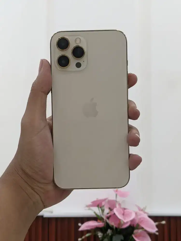 Iphone 12 Promax 128GB