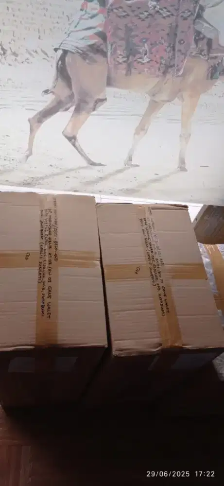 Admin logistik cargo