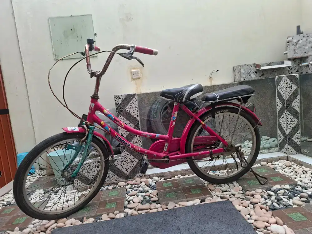 Di jual murah Sepeda anak nya.