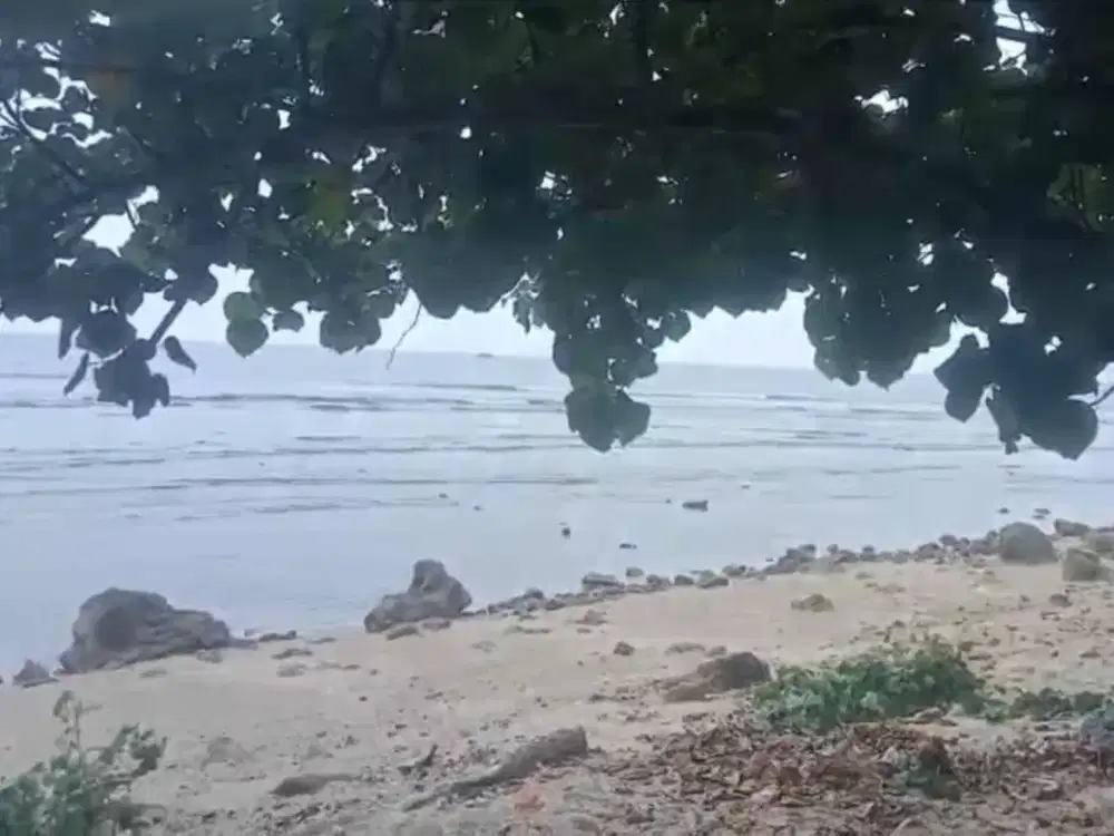 Dijual tanah pinggir pantai dan pinggir jalan raya di Kab. Pandeglang, luas 1 hektar