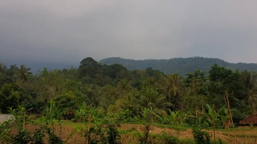 Info kontrakan kosong