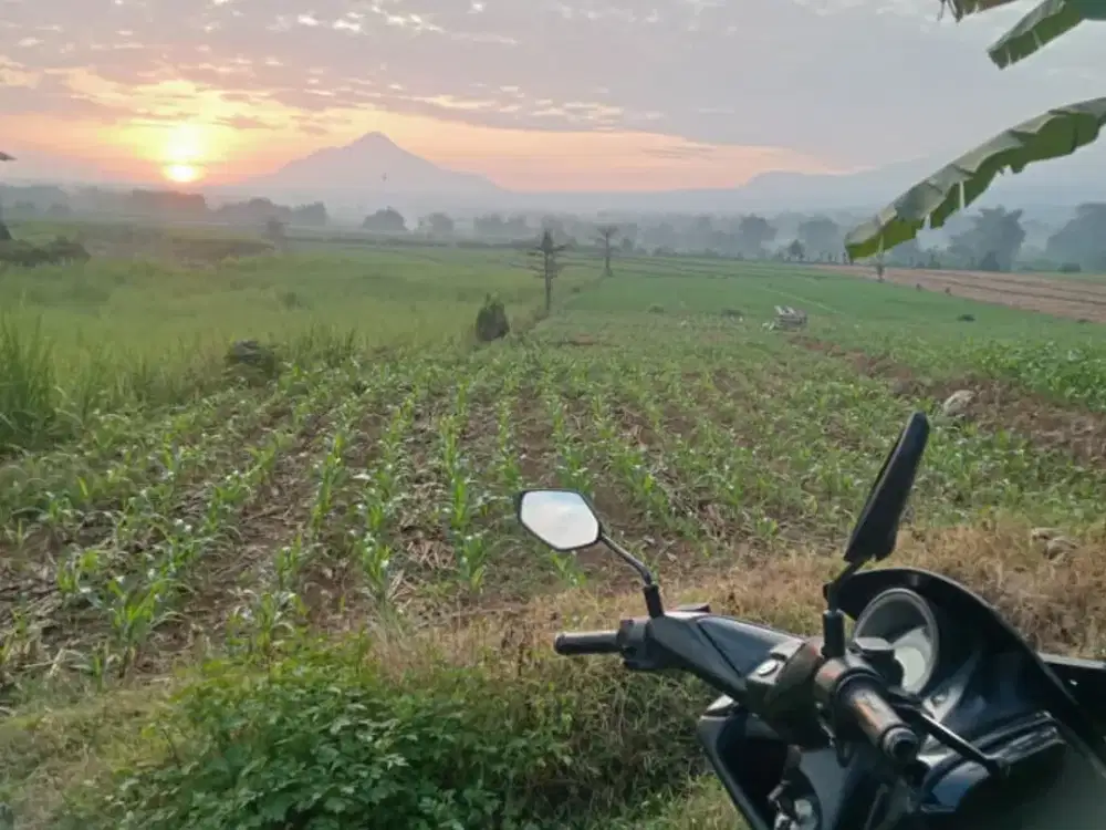 Tanah Untuk Gudang, Peternakan, Budidaya Ikan, DLL