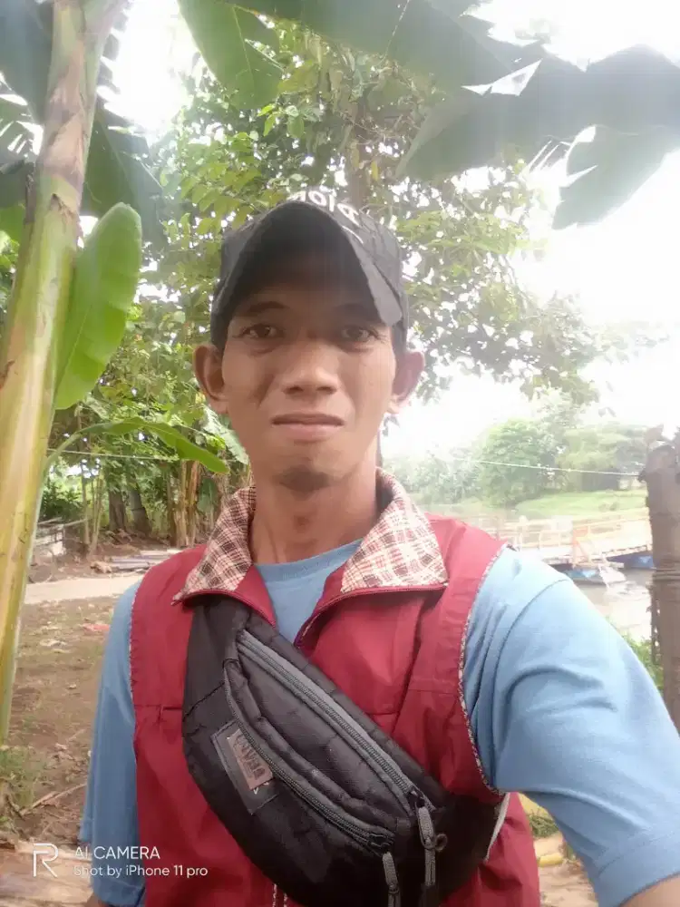 Cari pekerjaan, pengalaman membawa semua jenis mobil