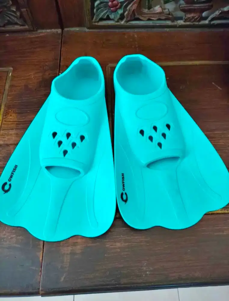 Fins ( kaki katak )