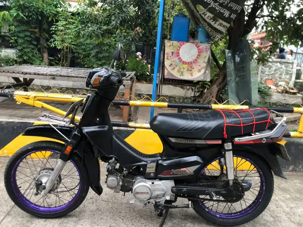 Astrea prima engkel