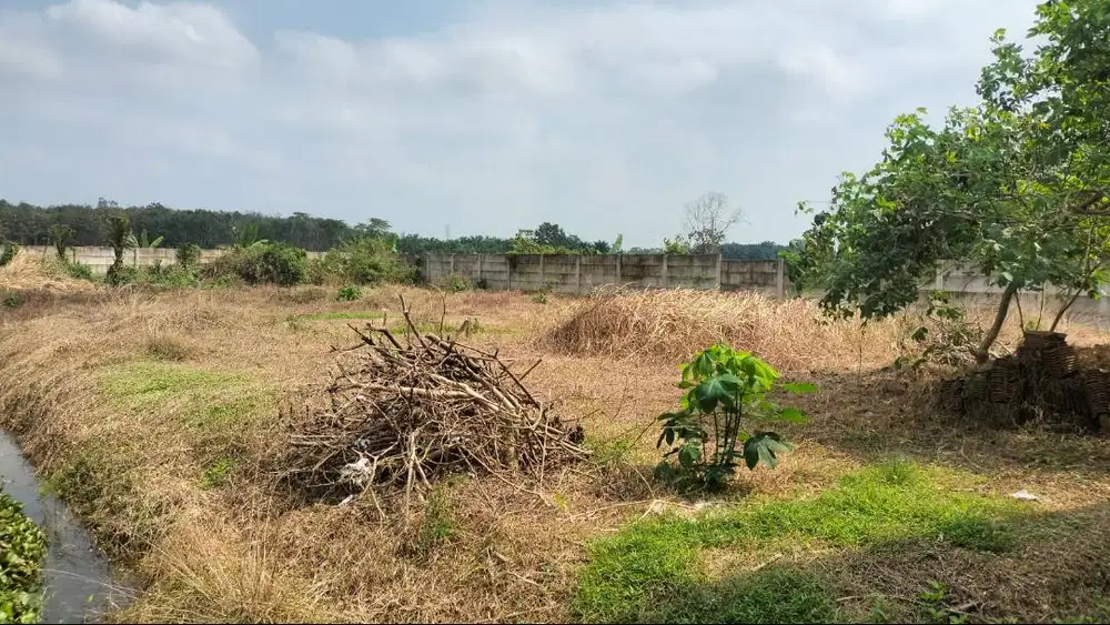 KAVLING ITERA COCOK UNTUK BANGUN KOSAN MAHASISWA